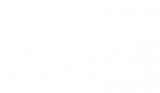 VPZ Logo - White